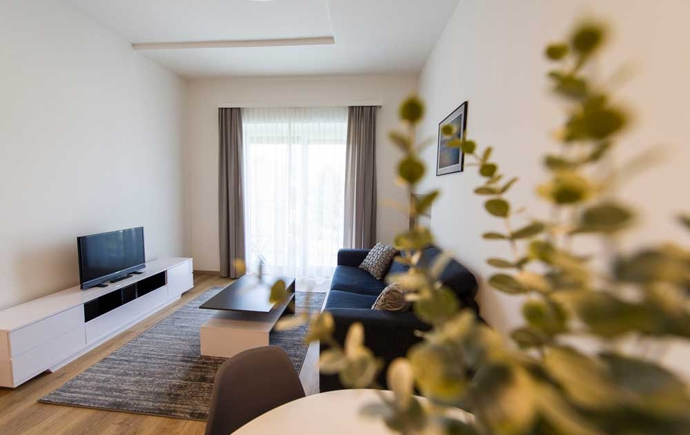 Appartement-Graz-Wohnraum-1